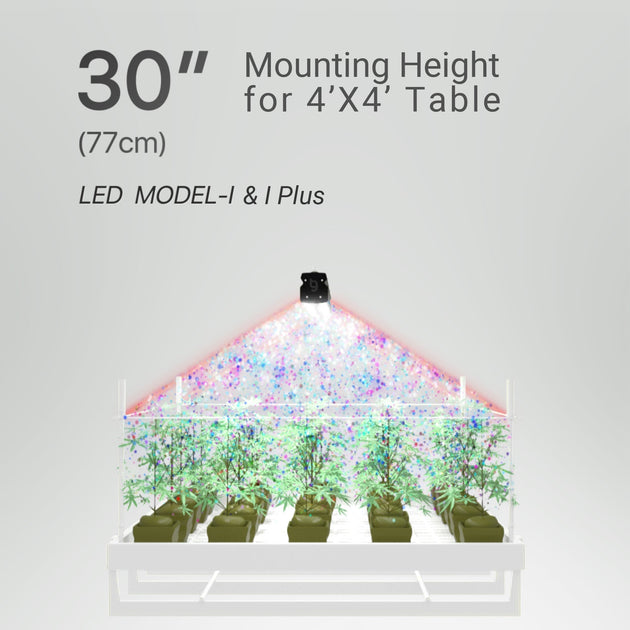 EU.MangoTech Store